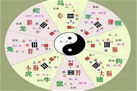 天上火六局|八字納音五行解析——天上火